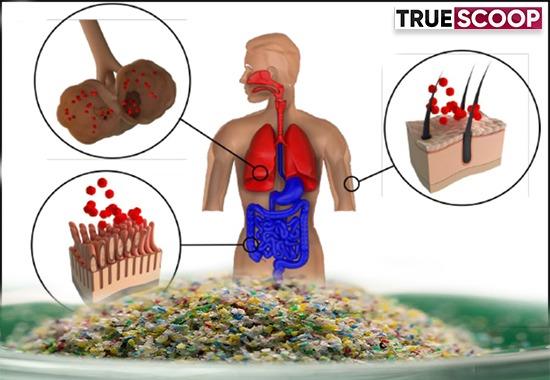 Microplastics-found-in-human-blood -What-is-Microplastics -Microplastics-and-it's-effects