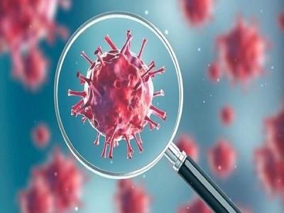 Infected immune cells may explain severity of Covid