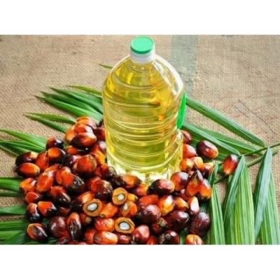 Indonesia's export ban for palm oil may have cascade effect on India's edible oil prices