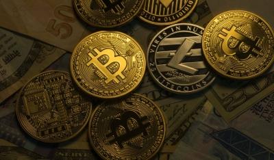 Bitcoin, other cryptocurrencies in free fall after interest rate hikes