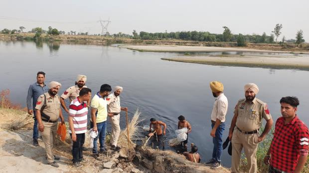 Ludhiana: Excise Teams Carried Out Intensive Search In Bet Area, Destroyed 2.80 LK Kg Of Lahan, 100 Lts of Liquors