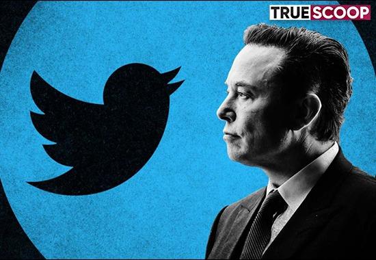 Twitter, Elon Musk, Explainer, Deal on hold, market downfall, spam users, fake accounts, Twitter deal, science and technology, micro blogging- True Scoop