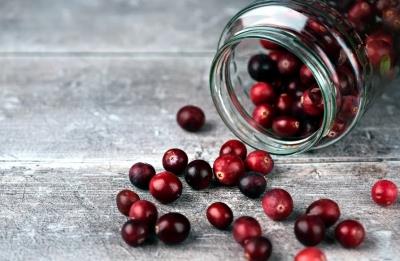 Eating cranberries may help improve memory, ward off dementia