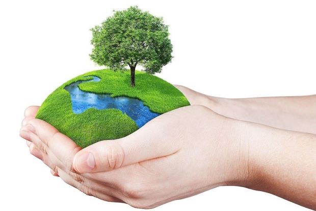 World Environment Day 2022: Know significance of THIS day, this year's theme & awareness messages | Environment-Day-2022,World-Environment-Day-2022,What-is-Environment-Day- True Scoop