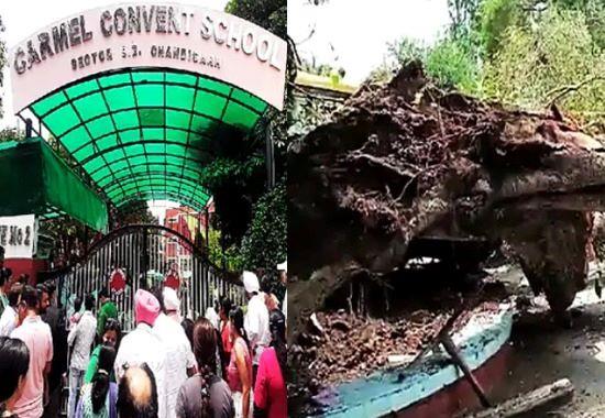 Chandigarh: Tree falls on students at Carmel Convent School; one died, several injured | Chandigarh,Accident-in-Chandigarh,Tree-fall-in-chandigarh- True Scoop