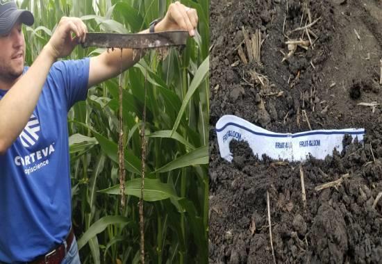 Amidst USA's bizarre 'Soil your undies' challenge for farmers; #Underwear top trend in India, Here's why