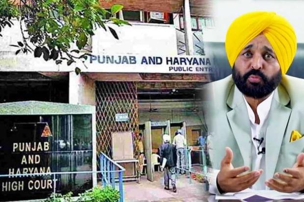 HC's big blow to AAP government, orders to restore VIP security | Punjab-News,Punjab-News-Today,Latest-Punjab-News- True Scoop