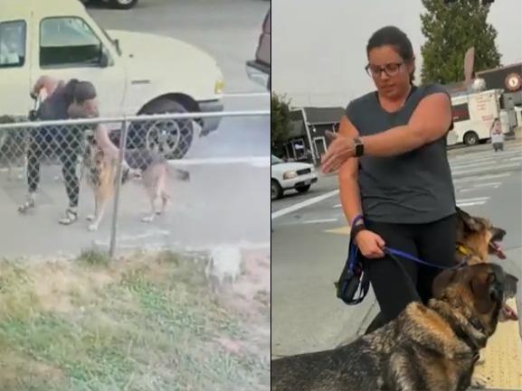 Seattle Washington: Woman slammed for allegedly using pepper spray on small barking dogs behind fence; Video Viral