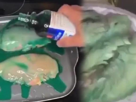What is NyQuil Chicken TikTok trend? US FDA warns Americans cooking rooster in cough syrup