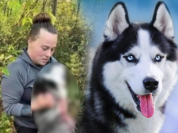 Montana, USA: In pursuit to hunt wolf, Woman kills & skins Husky dog; says 'Great Feeling'; Watch