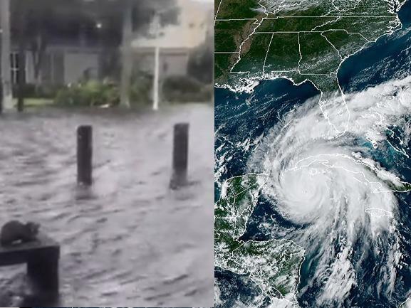 Hurricane-Ian-Kitten Hurricane-Ian-Florida-Kitten Hurricane-Ian-Florida-Dylan-Federico