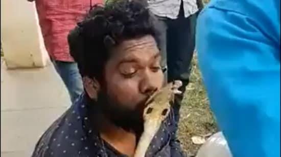 Karnataka Man's affection for Cobra turns nasty, gets bitten while attempting to kiss in a shocking viral video; Watch