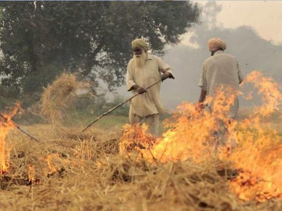 Stubble-burning cases-of-stubble-burning stubble-burning-in-Punjab