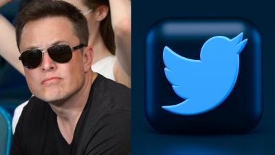 Musk seeks to revive Twitter's short-form video app Vine in TikTok era