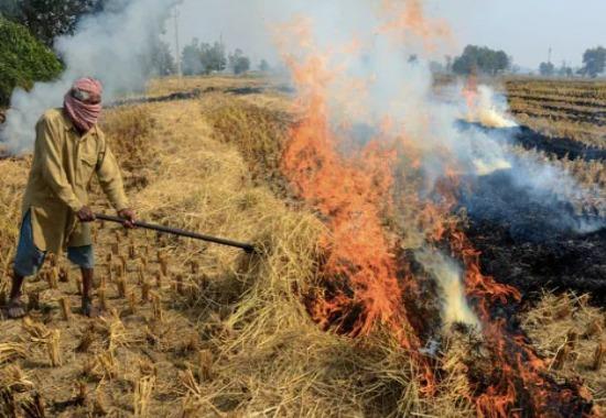 #FirstStoryPositive: Nakodar’s unique way of generating electricity can solve Stubble Burning problem