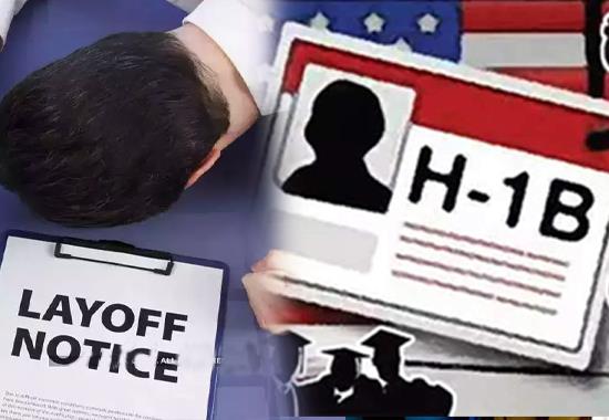 H1B Visa, Massive layoff, layoff impacts india, US Green Card, World News, World News Today,Top World News, World News Headlines,World Breaking News,International News,Latest World News, Politics News- True Scoop