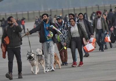 Formulate policy on carrying pets on flights, DGCA to airlines