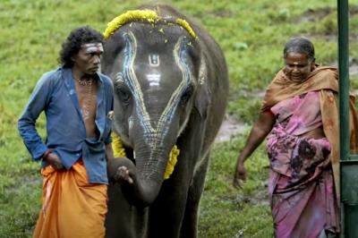 95th Oscar Nominations: 'The Elephant Whisperer' makes it to Short Film list