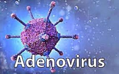 India News, India News Today, India News Live, India Live Updates, Adenovirus , Adenovirus alarm- True Scoop