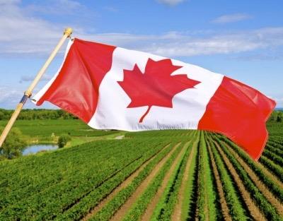 Canada needs 30,000 new immigrants in agri sector: Report | World-News,World-News-Today,Top-World-News- True Scoop