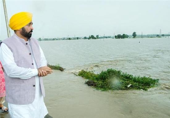 Punjab News, Punjab News Today, Latest Punjab News, Top Punjab News, Punjab News Live, Punjab News Update, Punjab, Chief Minister, Bhagwant Mann, Sangrur, Khanauri, Ghaggar River,- True Scoop