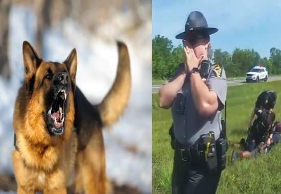 Jadarrius-Rose Ohio-Jadarrius-Rose Ohio-Police-Dog-Attack