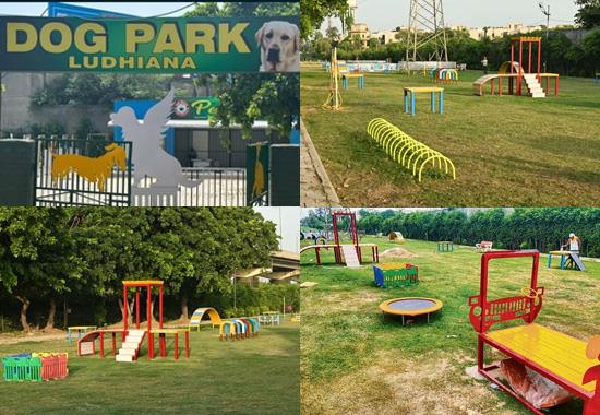 Ludhiana’s grand canine retreat: north India’s foremost dog park opens its gates